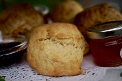 scone Tea Time