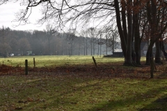 omgeving