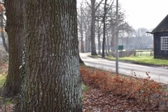 omgeving2