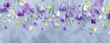 Spring Tea purple spring flowers